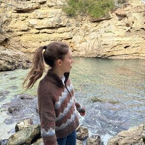 Madewell Brown and Blue Cowl Neck Sweater